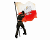 Flaga Polska Animated