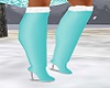 Ice Skates Blue Boots
