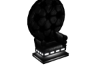 Queen's Thrown