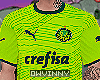 Camisa Palmeiras III
