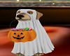 Ghost Halloween Dog