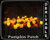 Pumpkin Patch