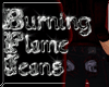 [IB] Burning Flame