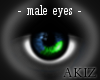 ]Akiz[ BluenGreen Eyes