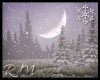 Snow Forest ♥RM