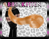 Kitts* Orn Tabby Tail v2
