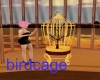 copperfield bird cage