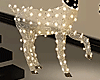 🦌 Deers w Lights