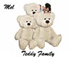 Teddy Family Poses
