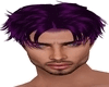 Raq Purple