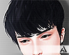 𝒜. B.H. Hair V.1 P.2