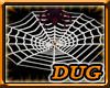 (D) Huge Spider Web