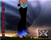 Black/Blue Chaps
