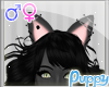 [Pup] Black Cat Ears