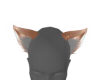 rose gold wolf ears