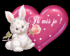 *CY*love bunny