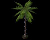 Palm tree w/lights