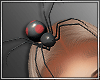 !MD Head Spider DRV