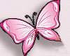 Butterfly Animated 🌹