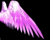 pink transparent wings