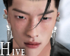 <Hv> AS.2 Male Head
