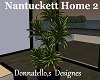nantuckett plant