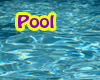 Purple Pool Floats