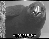 (LD) Crow.