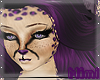 M; Purple Leopard *Hair1