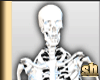  Skeleton Male