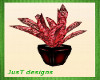 Ruby Red Planter