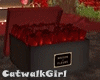 Gift Box Roses V2