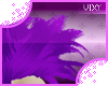 eOrca S. Tuffs