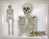[AIB]Real Bone Skeleton