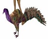 Oto's purple peacock