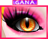 G; Kitts M|F {Mandi}