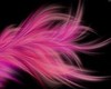 The Pink Feather