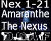 The Nexus