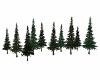 Pine Trees Group