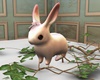 Bunny garden