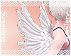 Tiny Angel Wings |White