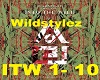 Wildstylez-Into The Wild