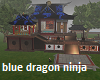blue dragon ninja amie
