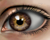 Eyes x Light Brown