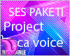 Project Toca voice
