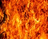 Fire wings
