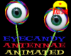 eyecandy bouncy antennae
