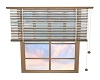 Window With Blind