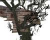 Hidden Tree House