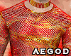 Ⱥ™ Flaming Net Top